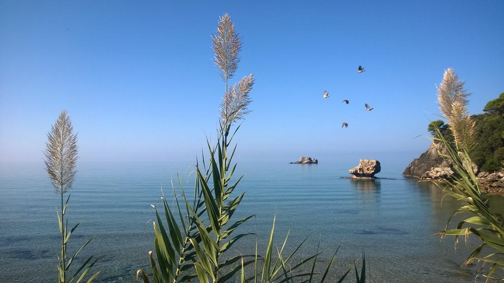 Yaliskari Beach Пелекас Екстер'єр фото